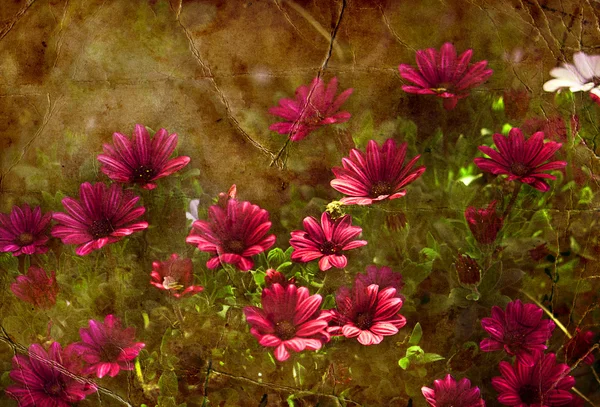 Hermoso fondo primaveral con pequeñas flores rojas y rosas —  Fotos de Stock