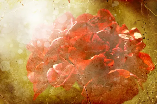 Grunge background with red flowers — Stock Photo, Image