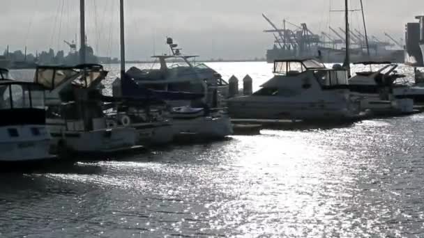 Boote und Yachten angedockt — Stockvideo