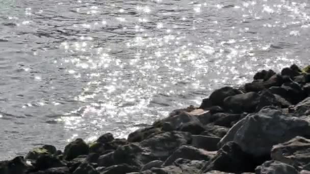 Orilla rocosa — Vídeos de Stock