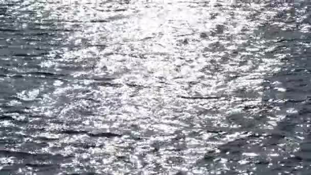 Ocean water surface with sunshine sparks, loopable — Stock Video