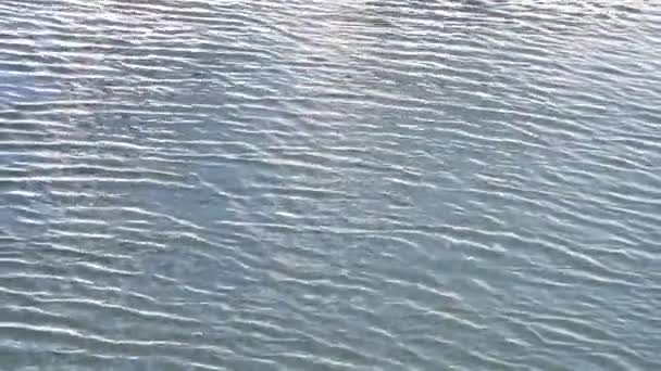 Surface de l'eau de mer, boucle 