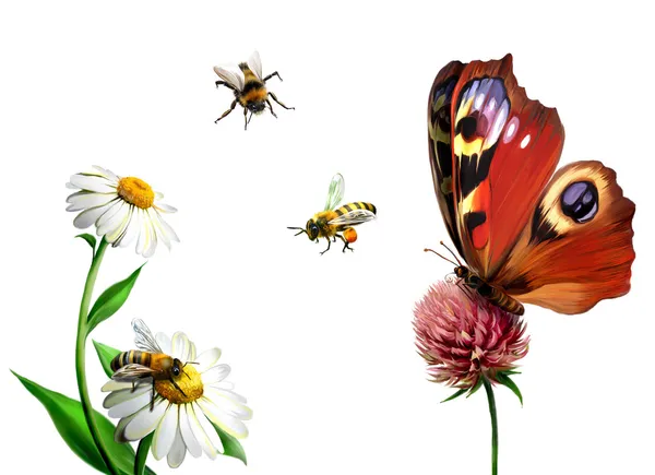 Butterfly, daisy, and Bees — Stock Photo, Image