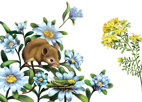 Ratón, saltamontes flores del prado azul — Foto de Stock