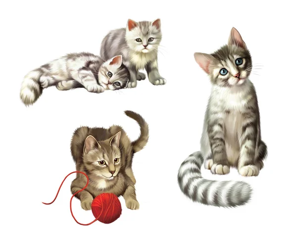 Jugando a gatos. Gatito con pelota. Dos pequeños gatitos tabby gris lindo, Ilustración aislada sobre fondo blanco . —  Fotos de Stock