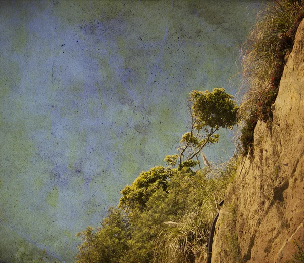 Yellow sand and blue sky. Tree among the high cliffs and surrounded by red rock colors — Stockfoto