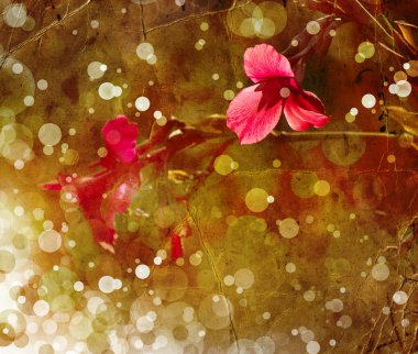 çiçek backgrond, Bahar bloom