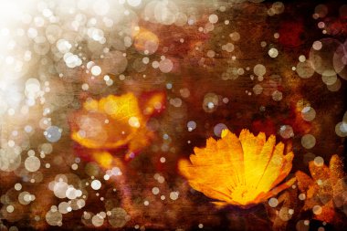 çiçek backgrond, Bahar bloom