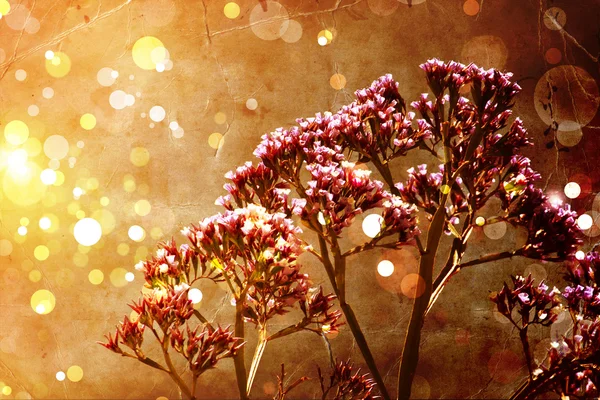 Vackra och ljusa blommor våren bakgrund — Stockfoto