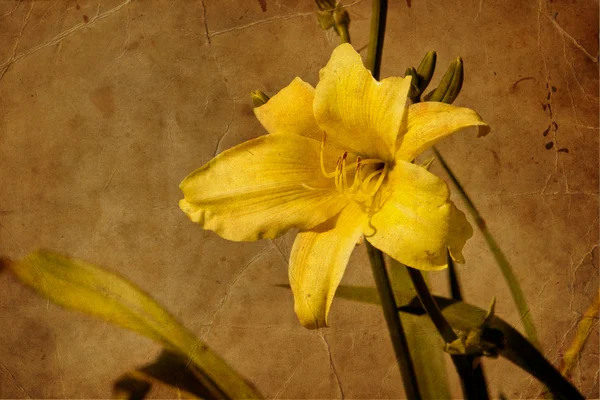 Schöne und helle blumige Frühling Hintergrund — Stockfoto