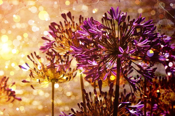 Schöne und helle blumige Frühling Hintergrund — Stockfoto