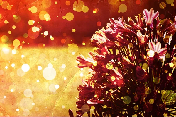 Güzel ve parlak çiçek bahar arka plan — Stok fotoğraf
