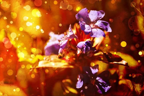 Bello e luminoso sfondo floreale autunnale — Foto Stock