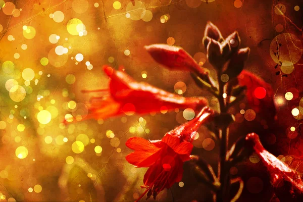 Mooi en helder floral herfst achtergrond — Stockfoto