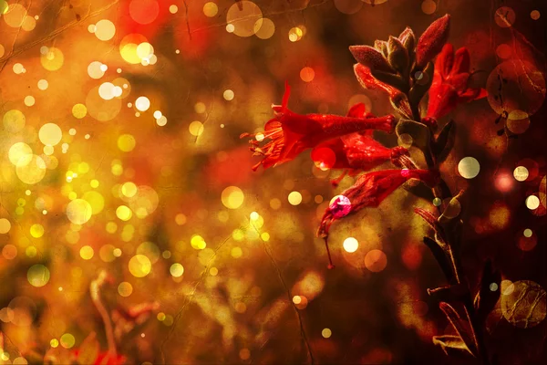 Beautiful and bright floral autumnal background — Stock Photo, Image