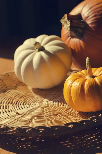 Thanksgiving achtergrond met pumpkins. Retro kaart — Stockfoto