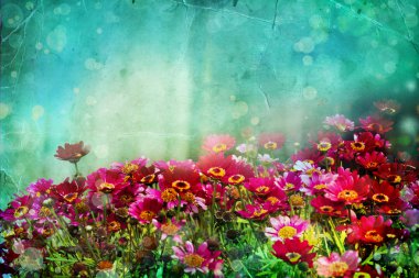 çiçek backgrond, Bahar bloom