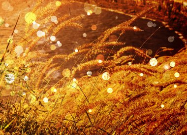 Bright autumnal floral background