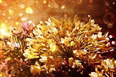 Bright autumnal floral background
