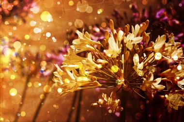 Bright autumnal floral background