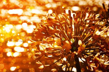 Bright autumnal floral background