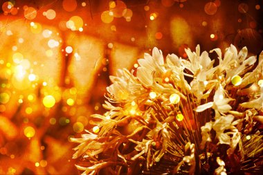 Bright autumnal floral background