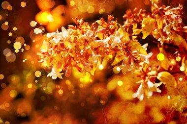 Bright autumnal floral background
