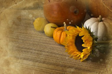 kabaklar ve sonbahar dekorasyonları