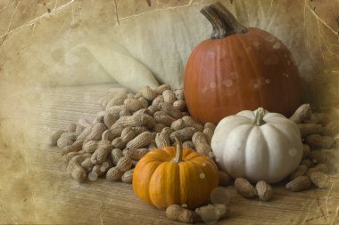 kabaklar ve sonbahar dekorasyonları