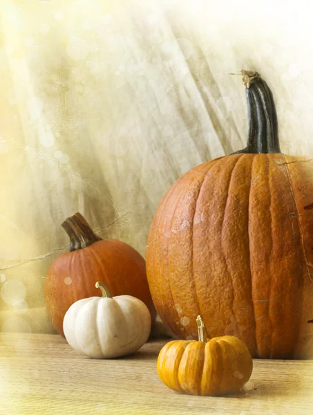 カボチャと秋の装飾 — ストック写真