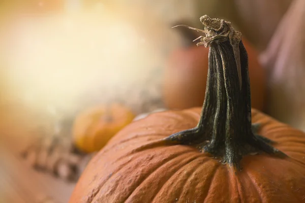 Vintage photo of pumpkin — Stock Photo, Image