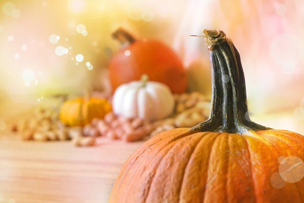 Pumpkins and autumn decorations — Stock Photo, Image