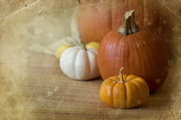 Pumpkins and autumn decorations — Stock Photo, Image