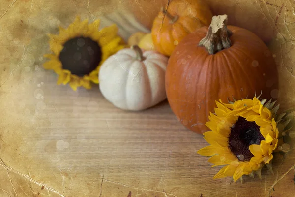 Citrouilles et décorations d'automne — Photo