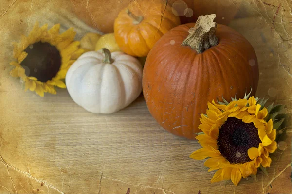 Pompoenen en herfst decoratie — Stockfoto