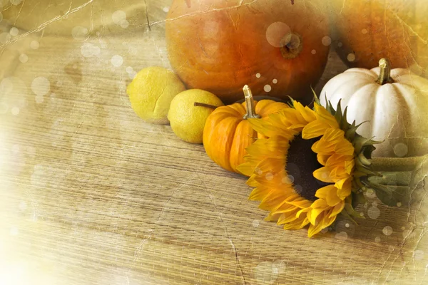 Herbst Hintergrund mit Gemüse — Stockfoto