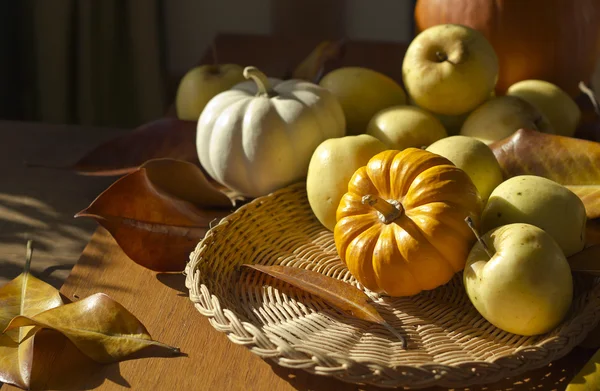 Thanksgiving Contexte avec des citrouilles et des pommes. Carte rétro — Photo