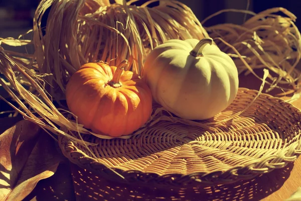 Thanksgiving day background — Stock Photo, Image