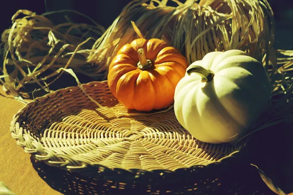 Thanksgiving achtergrond met pumpkins. Retro kaart — Stockfoto