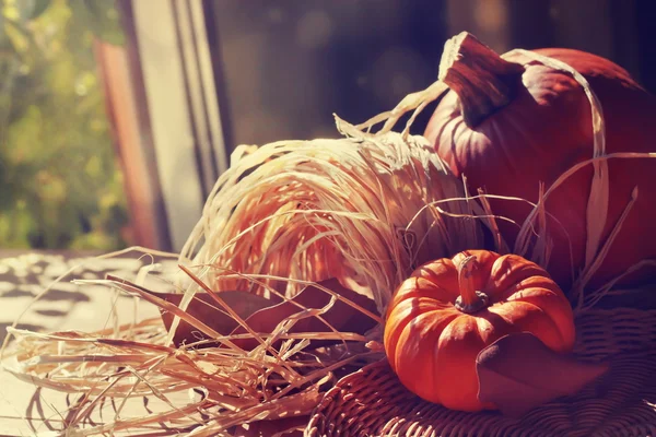 Thanksgiving achtergrond met pumpkins. Retro kaart — Stockfoto