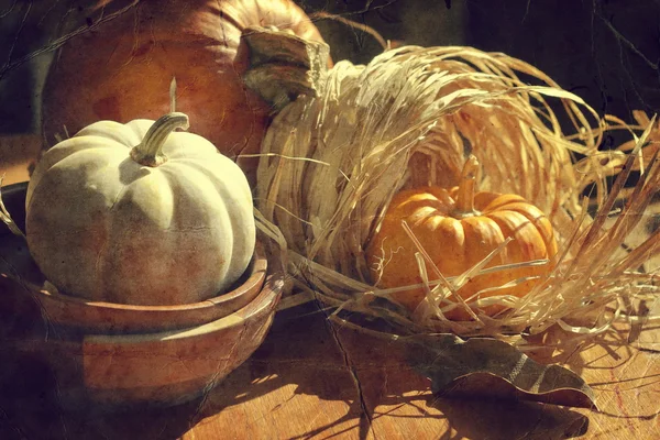 Thanksgiving Background with Pumpkins. Retro card — Stock Photo, Image