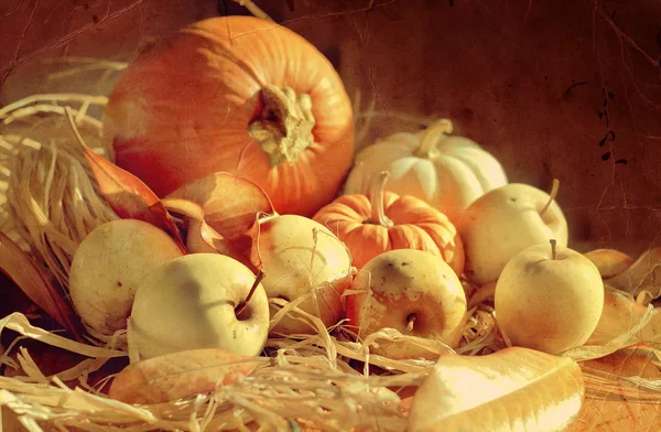Thanksgiving bakgrund med pumpor och äpplen. retro kort — Stockfoto