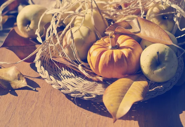 Thanksgiving achtergrond met pompoenen en appels. Retro kaart — Stockfoto