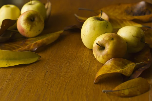 Thanksgiving fond avec des pommes. Carte rétro — Photo