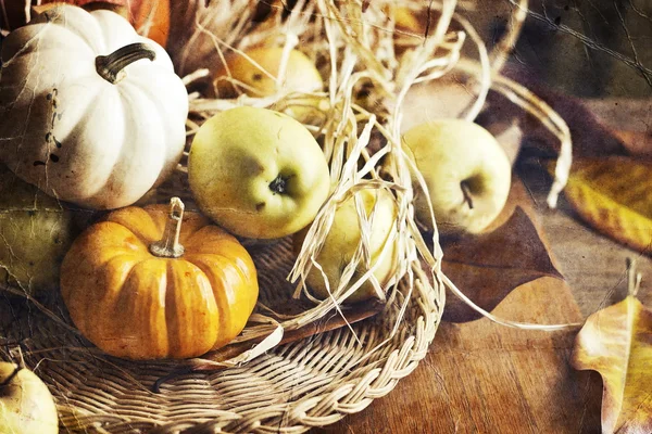 Thanksgiving Contexte avec des citrouilles et des pommes. Carte rétro — Photo