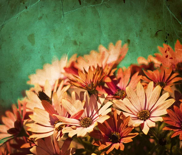 Vintage flowers — Stock Photo, Image