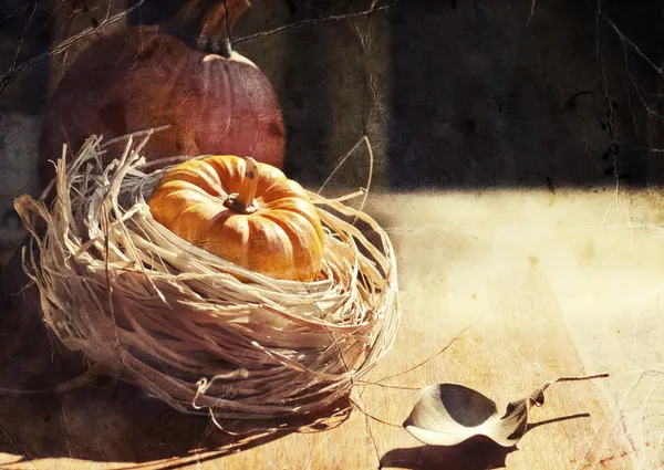 Thanksgiving achtergrond met pumpkins. Retro kaart — Stockfoto