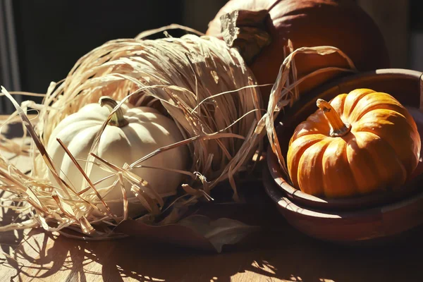 Thanksgiving Background with Pumpkins. Retro card — Stock Photo, Image