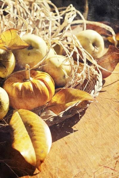 Thanksgiving Contexte avec des citrouilles et des pommes. Carte rétro — Photo