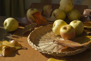 elma ile Şükran günü geçmiş. Retro kartı